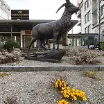 Hotel Carlton-europe Vintage Adults Interlaken