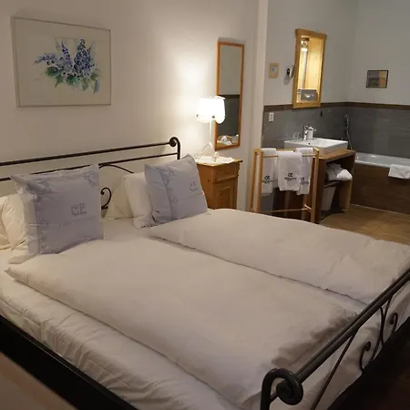 Carlton-europe Vintage Adults 4* 인터라켄