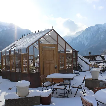 Carlton-europe Vintage Adults Interlaken