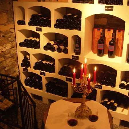 酒店 Carlton-europe Vintage Adults 因特拉肯