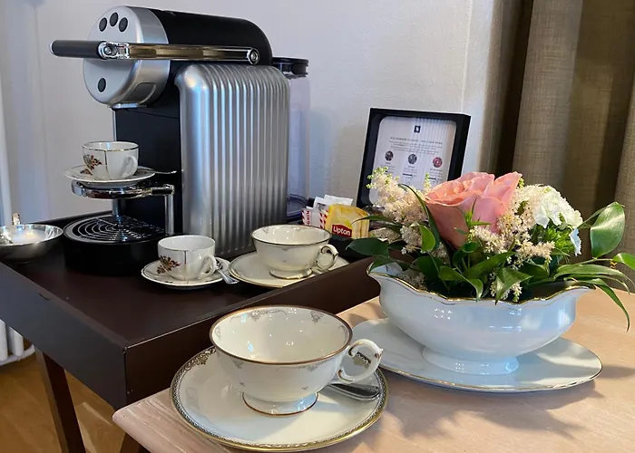 Carlton-europe Vintage Adults 4* Interlaken