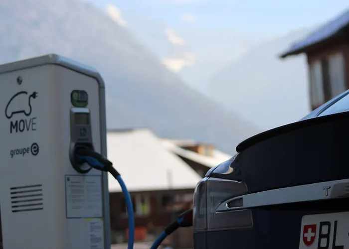 Carlton-europe Vintage Adults 4*