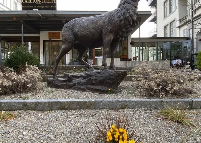 Hotel Carlton-europe Vintage Adults Interlaken