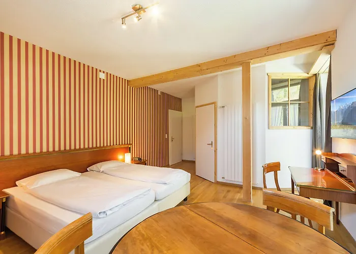 Hotel Carlton-europe Vintage Adults