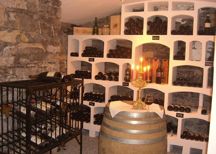 Carlton-europe Vintage Adults 4*